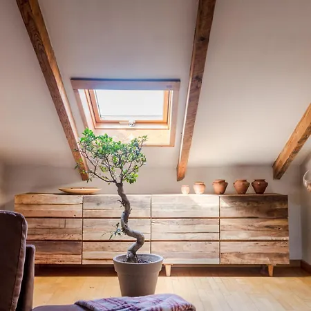 The Rooftop Penthouse With Elevator In Lucca