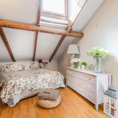 The Rooftop Penthouse With Elevator In Appartamento
